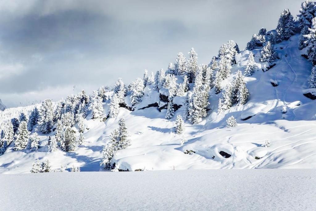 Domaine Du Jardin Alpin Apartman Courchevel Kültér fotó